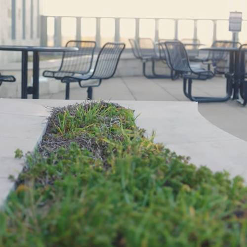 Green roof garden and seating space